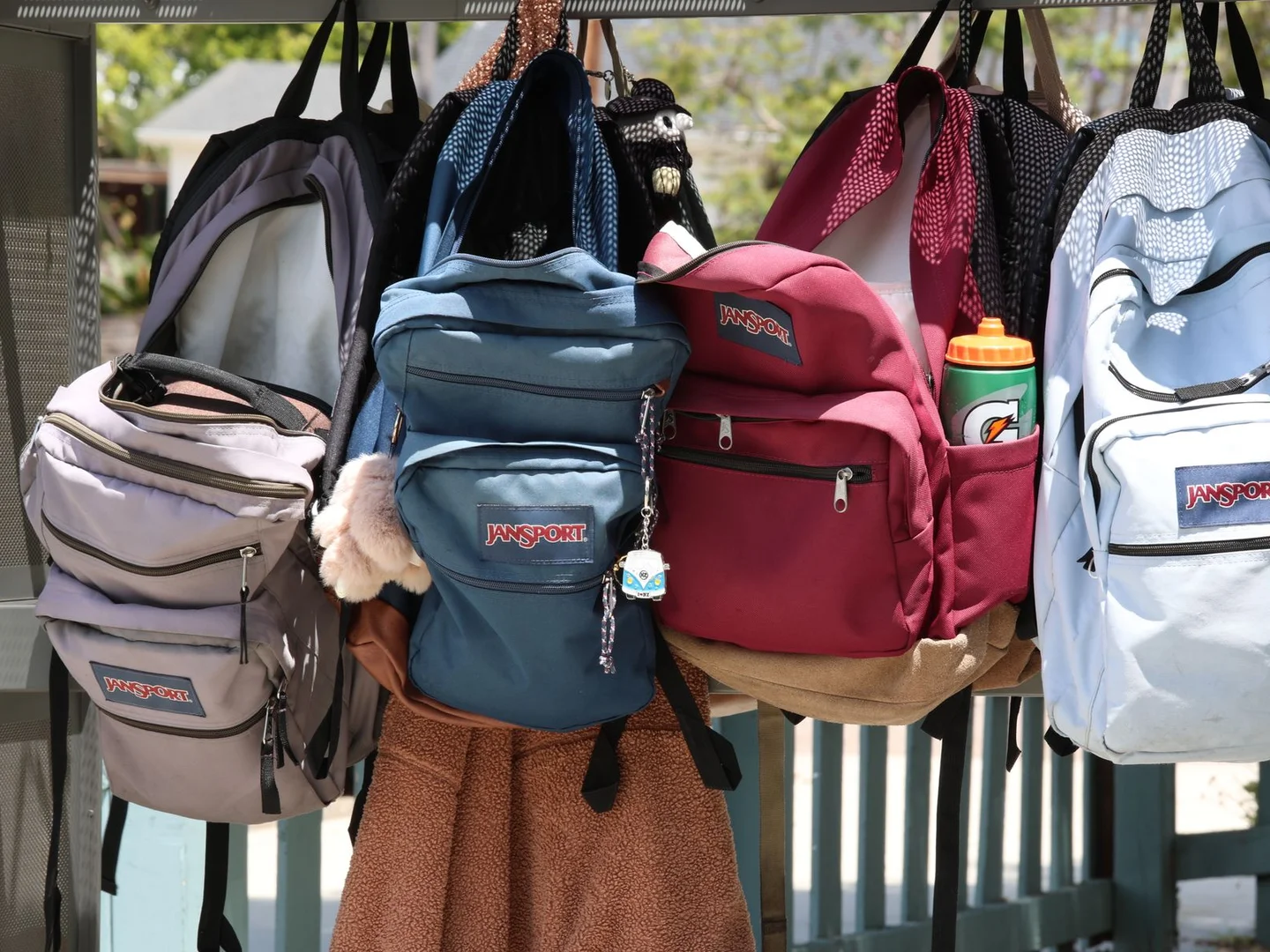 Several colorful backpacks hanging separately on hooks.