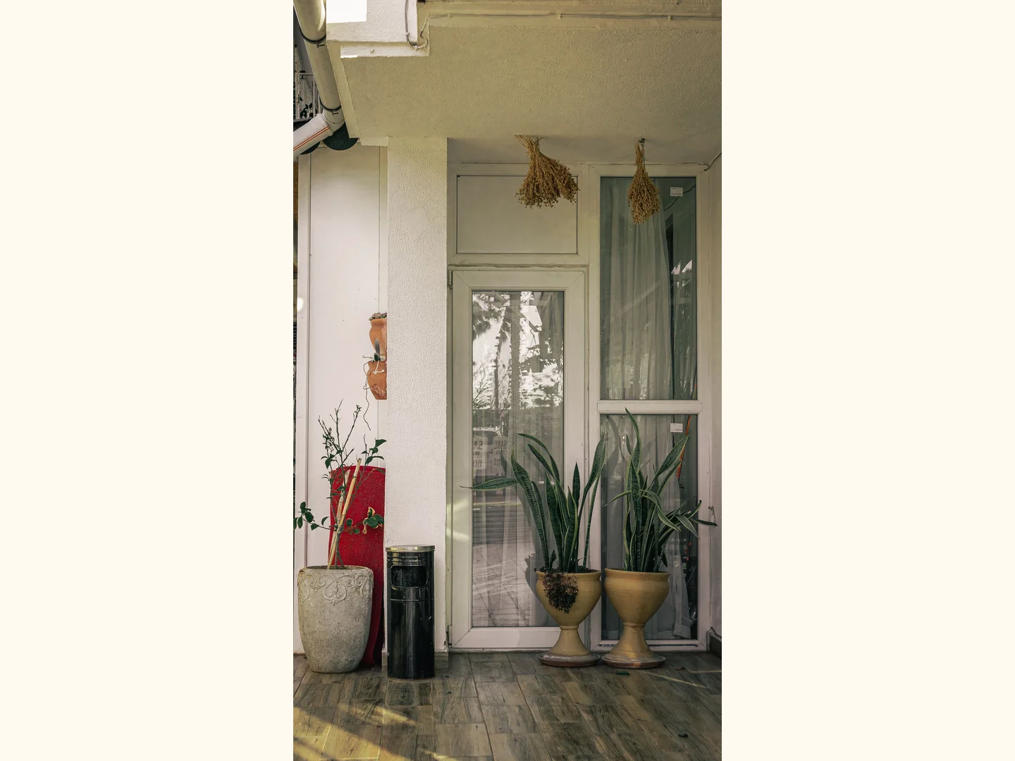 Potted plants arranged beside a front door.